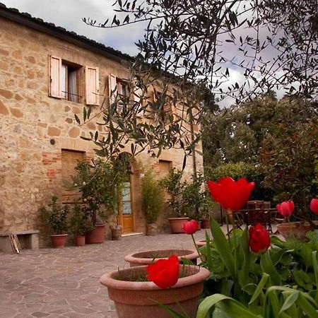 La Vigna Agriturismo Villa Siena Kültér fotó