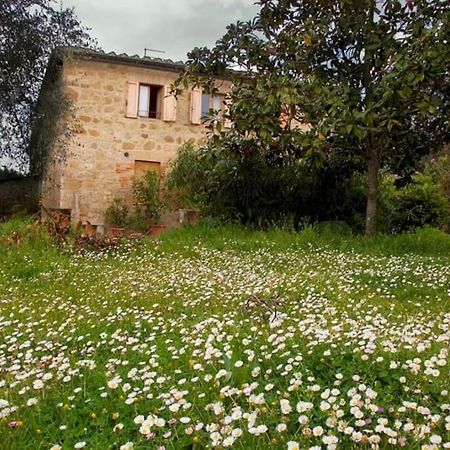 La Vigna Agriturismo Villa Siena Kültér fotó