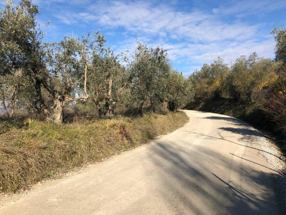 La Vigna Agriturismo Villa Siena Kültér fotó