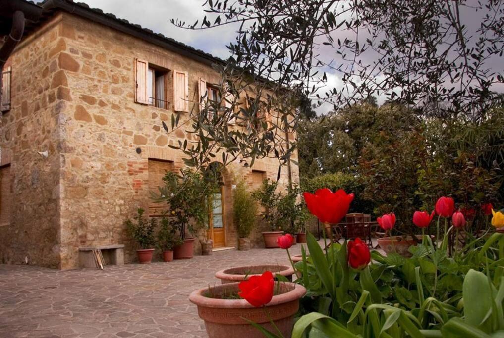 La Vigna Agriturismo Villa Siena Kültér fotó