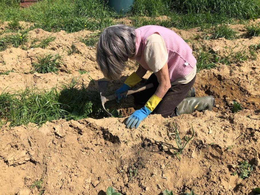 La Vigna Agriturismo Villa Siena Kültér fotó