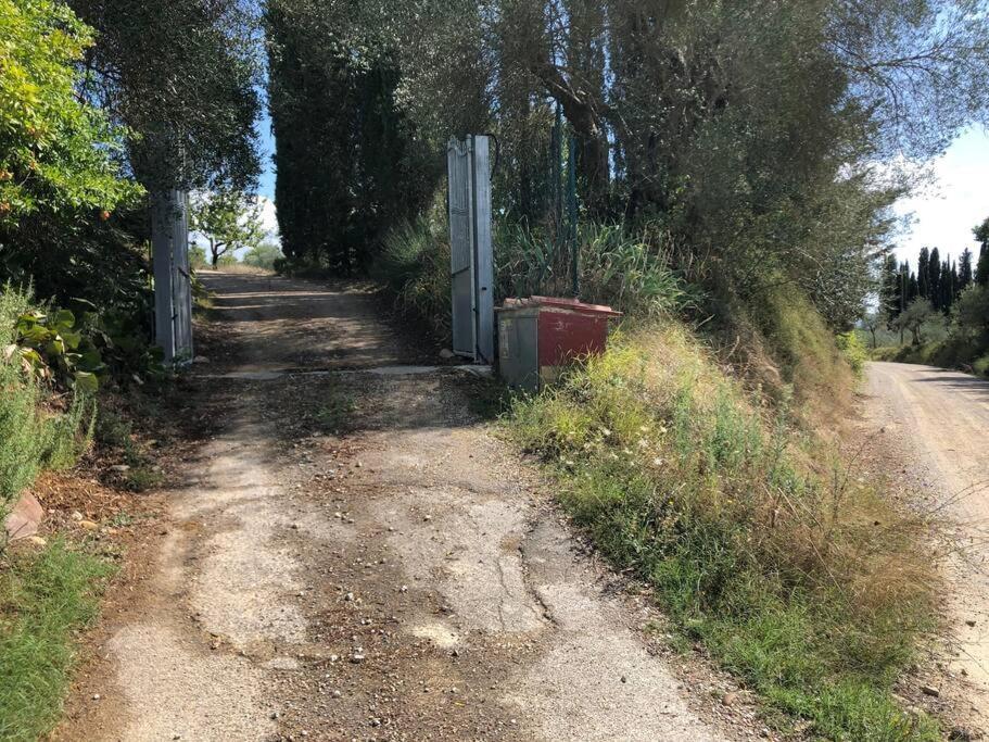 La Vigna Agriturismo Villa Siena Kültér fotó