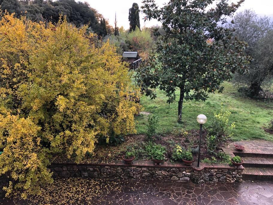 La Vigna Agriturismo Villa Siena Kültér fotó