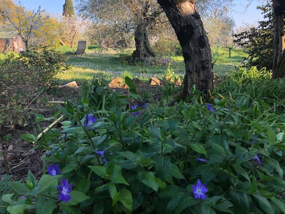 La Vigna Agriturismo Villa Siena Kültér fotó
