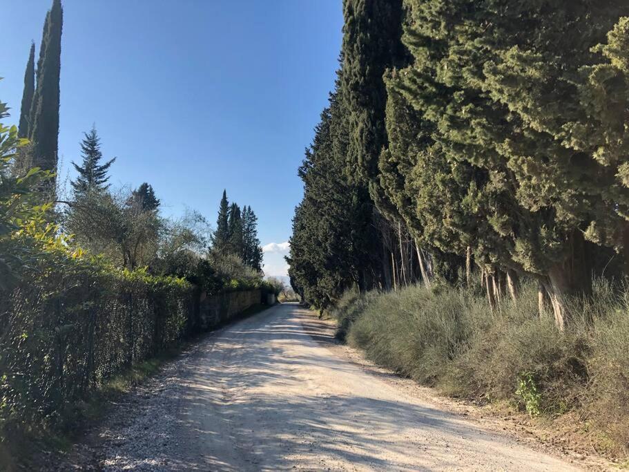 La Vigna Agriturismo Villa Siena Kültér fotó