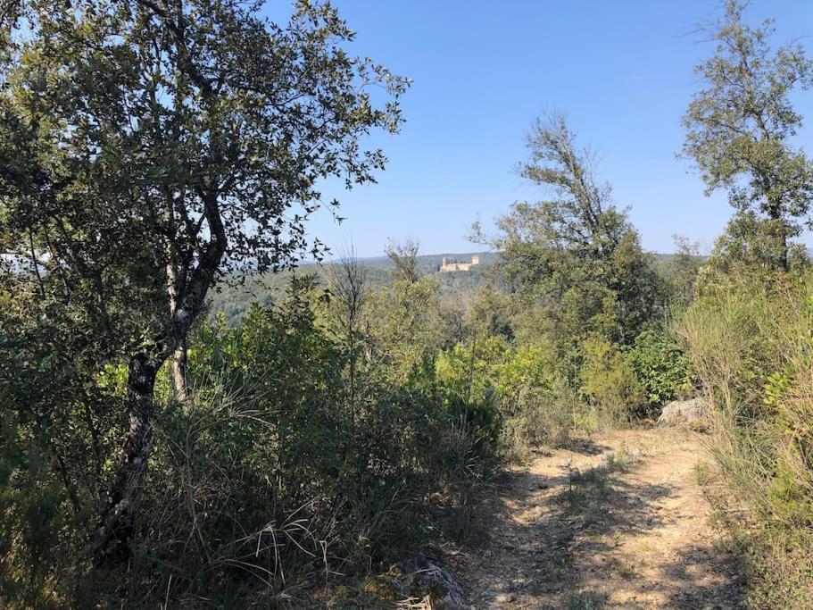 La Vigna Agriturismo Villa Siena Kültér fotó
