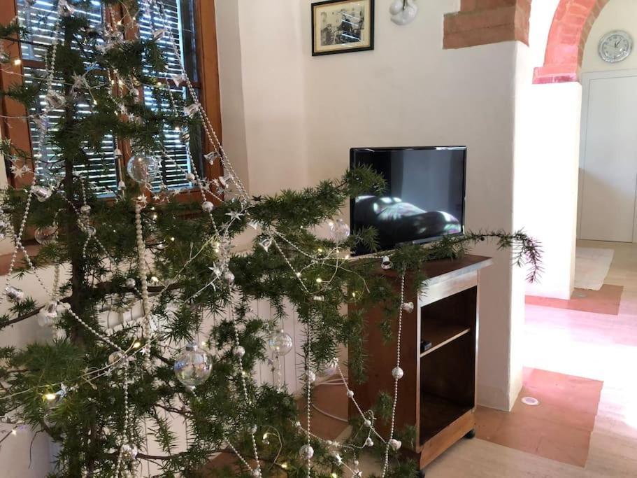 La Vigna Agriturismo Villa Siena Kültér fotó