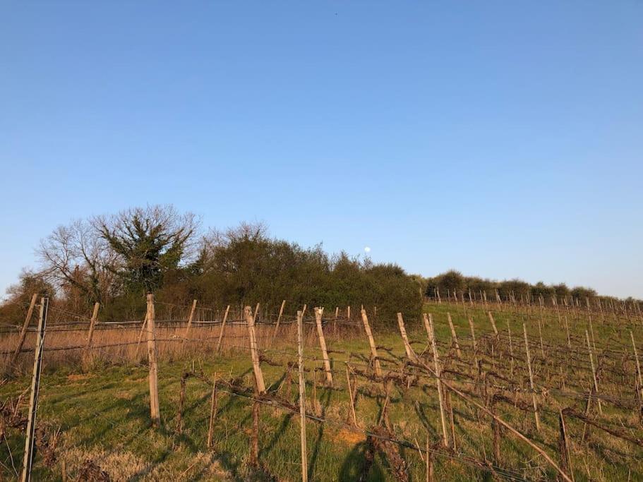 La Vigna Agriturismo Villa Siena Kültér fotó