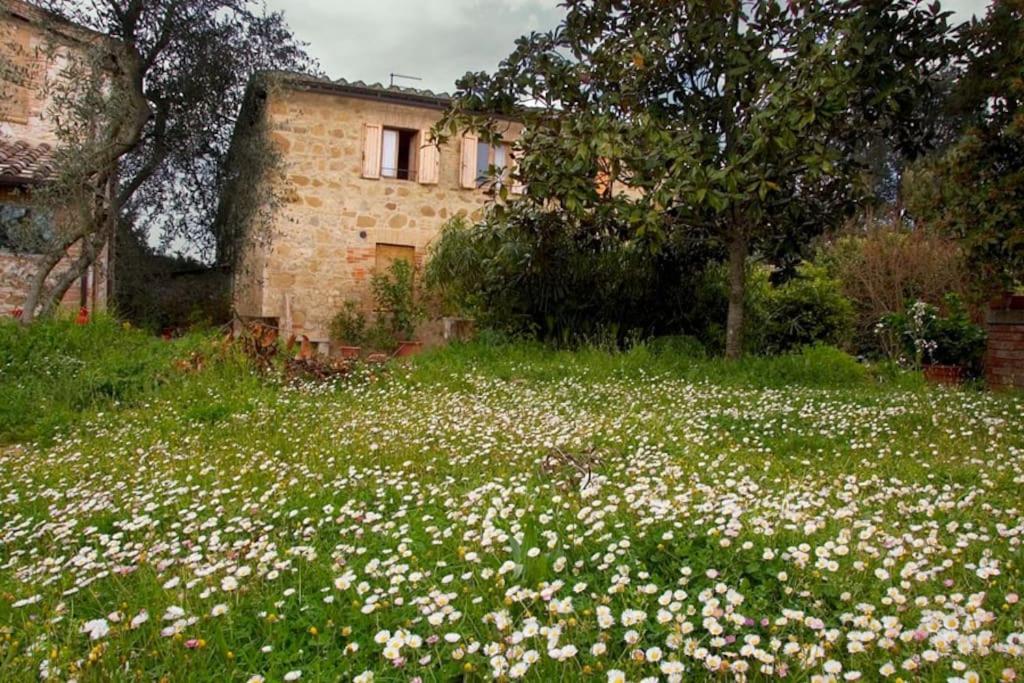 La Vigna Agriturismo Villa Siena Kültér fotó